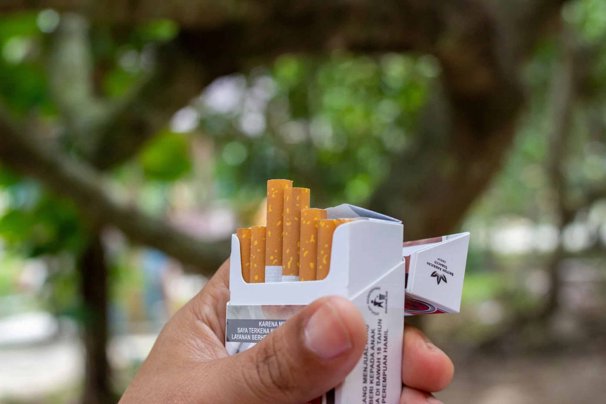 Hand holding an open pack of cigarettes outdoors