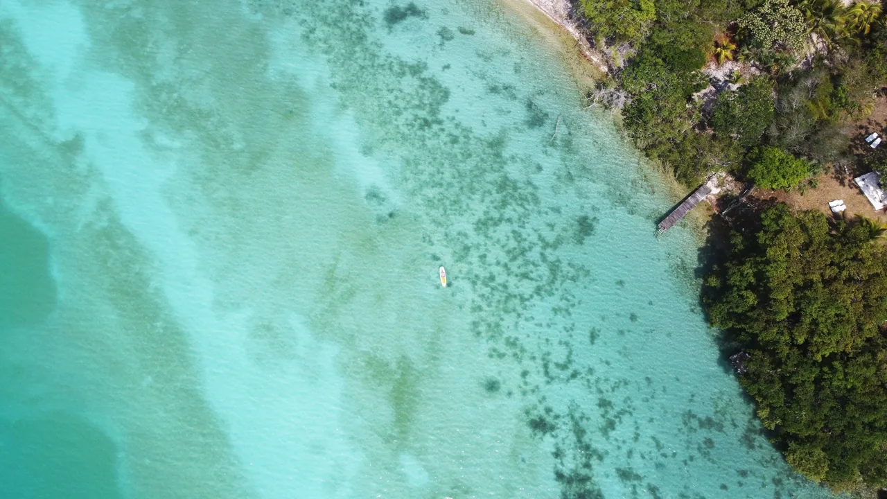 Vista aérea das águas rasas e turquesas junto à margem arborizada da Lagoa de Bacalar.