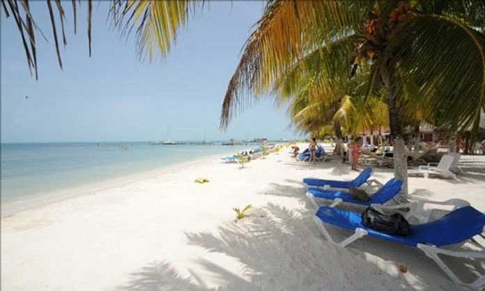 Palm-lined white-sand beach with blue loungers on Isla Mujeres