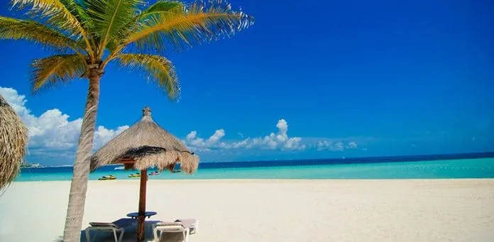 Palmera y sombrilla de palapa en una playa de arena blanca de Cancún.
