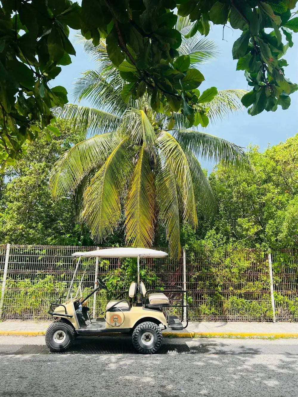 Golf cart parked on a leafy Isla Mujeres street