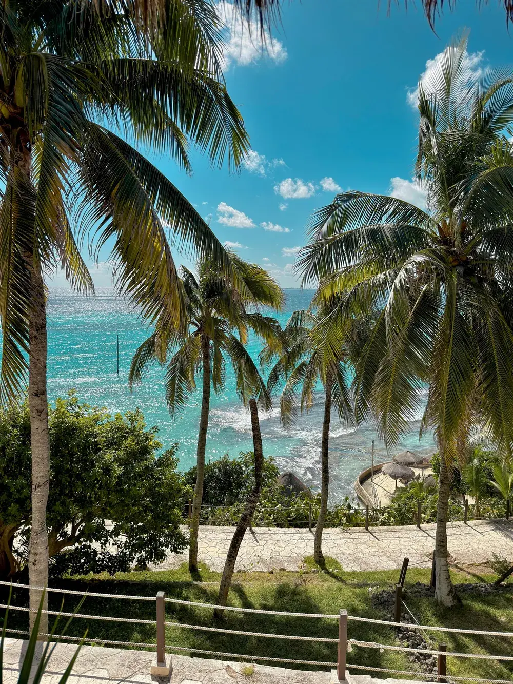 Palm trees above a rocky shoreline and turquoise water on Isla Mujeres