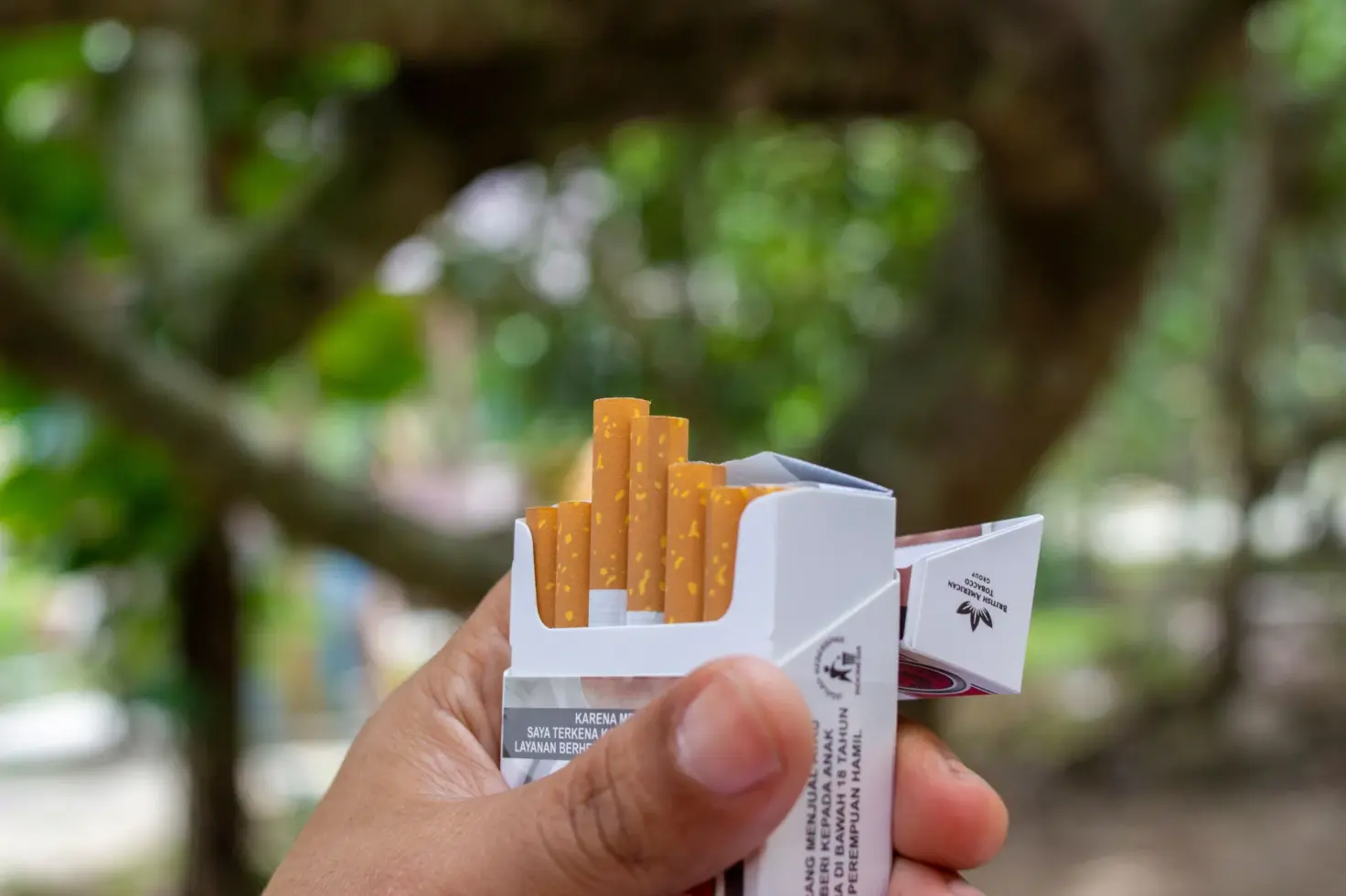 Mão segurando um maço de cigarros aberto ao ar livre