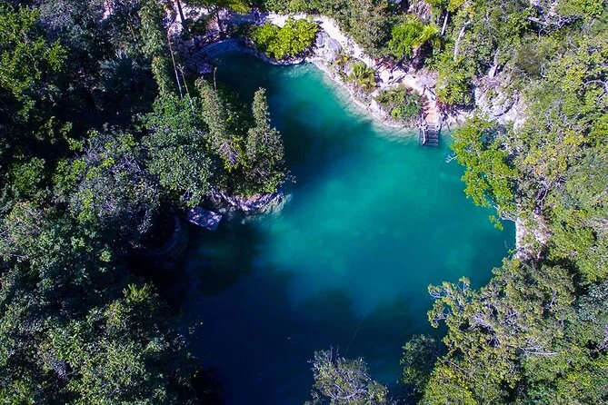 Turquoise water and vegetation at Cenote Palmas in the Cenotes Zapote supplier gallery