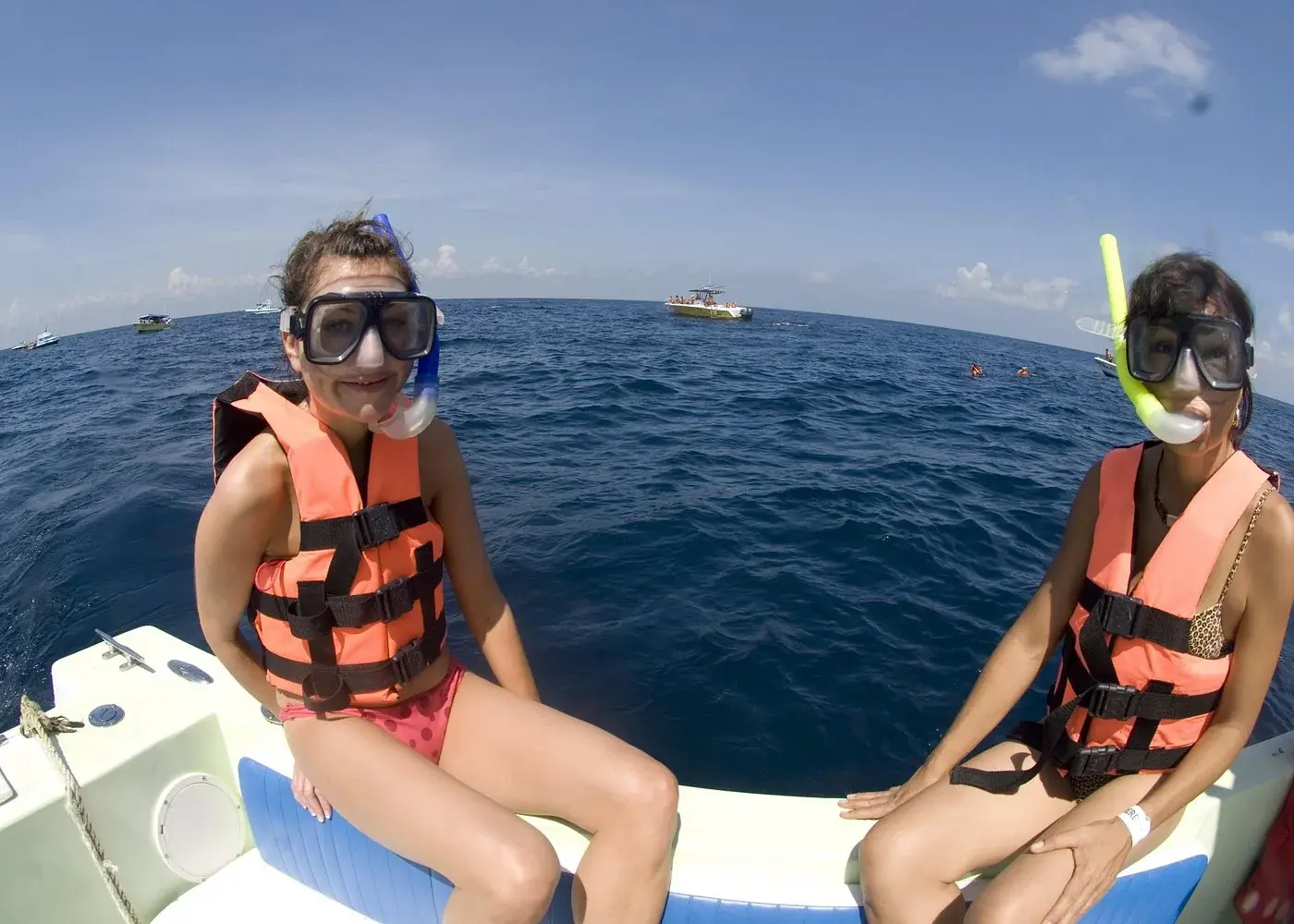 Passengers aboard a whale shark tour boat