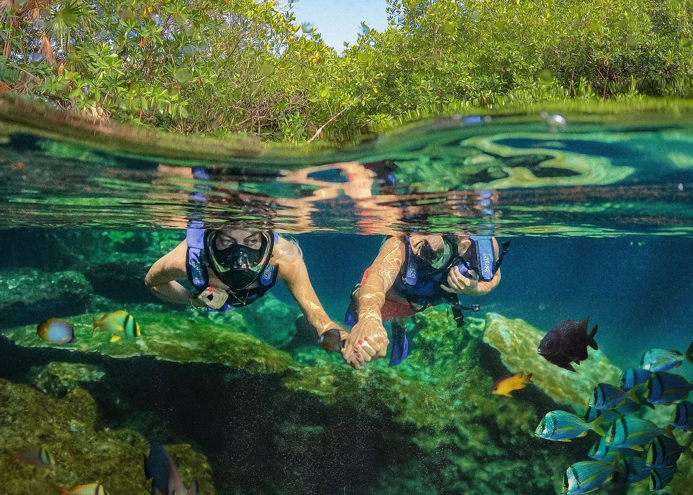 Two visitors snorkeling with fish in Xel-Há's clear water