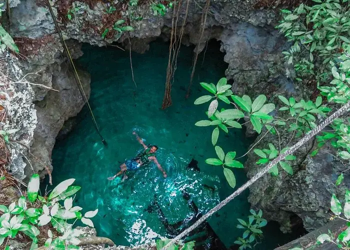 Swimmer in turquoise cenote water beneath jungle foliage