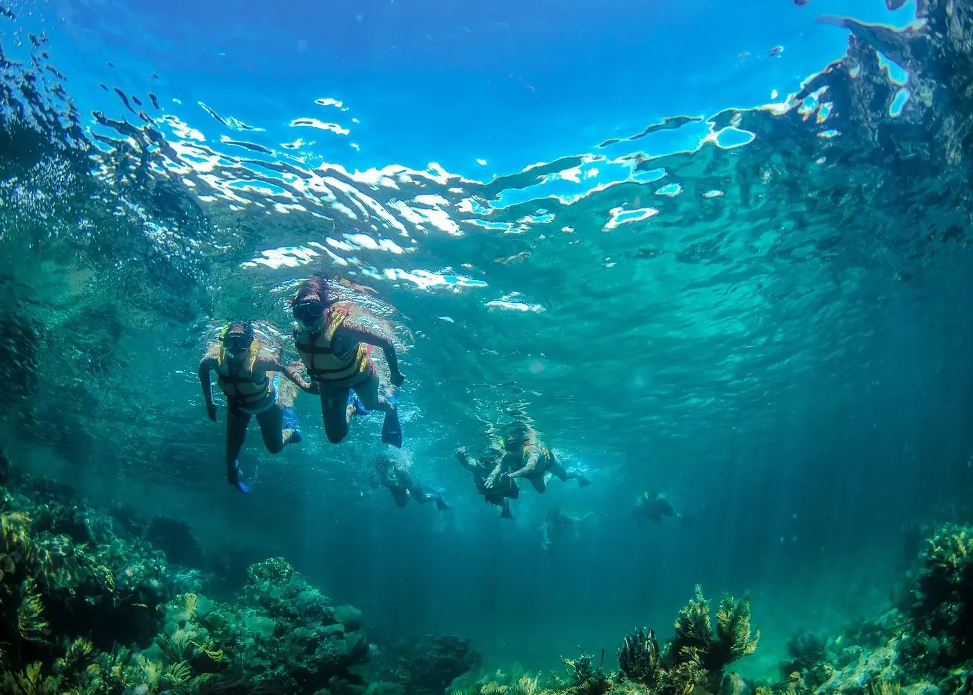 Snorkelers swimming above reef habitat near Punta Nizuc