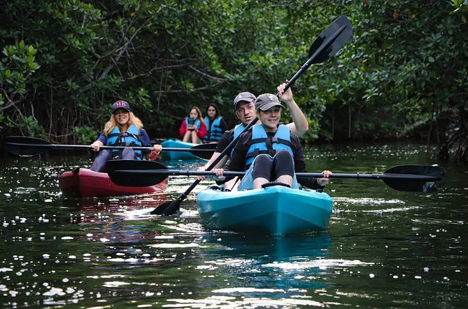 Guests paddling kayaks through a shaded mangrove channel